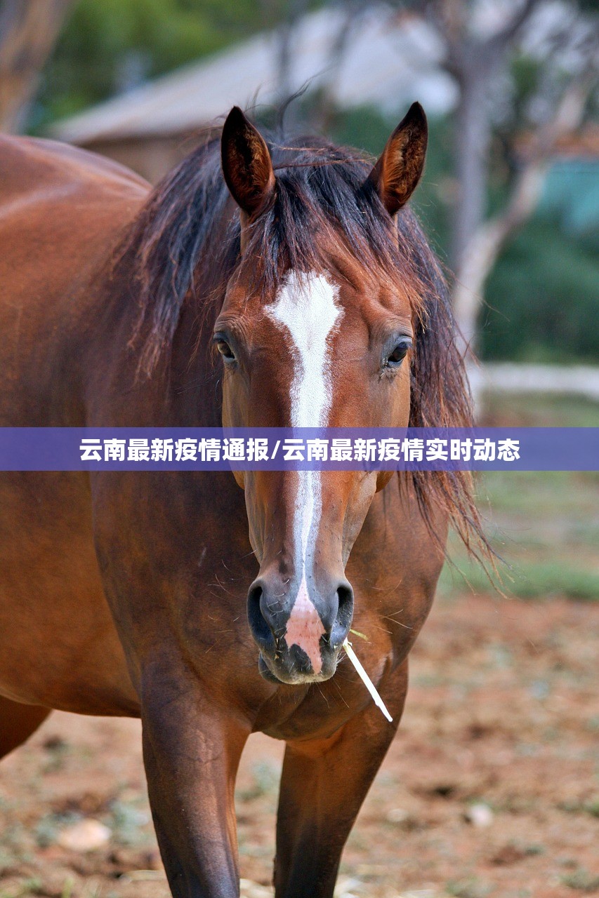 【31省区市新增7例,31省区市新增新冠肺炎7例】