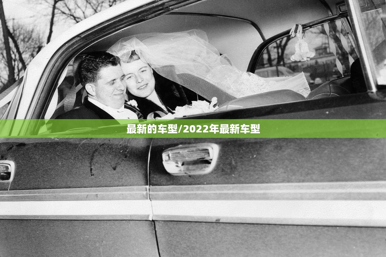 最新的车型/2022年最新车型