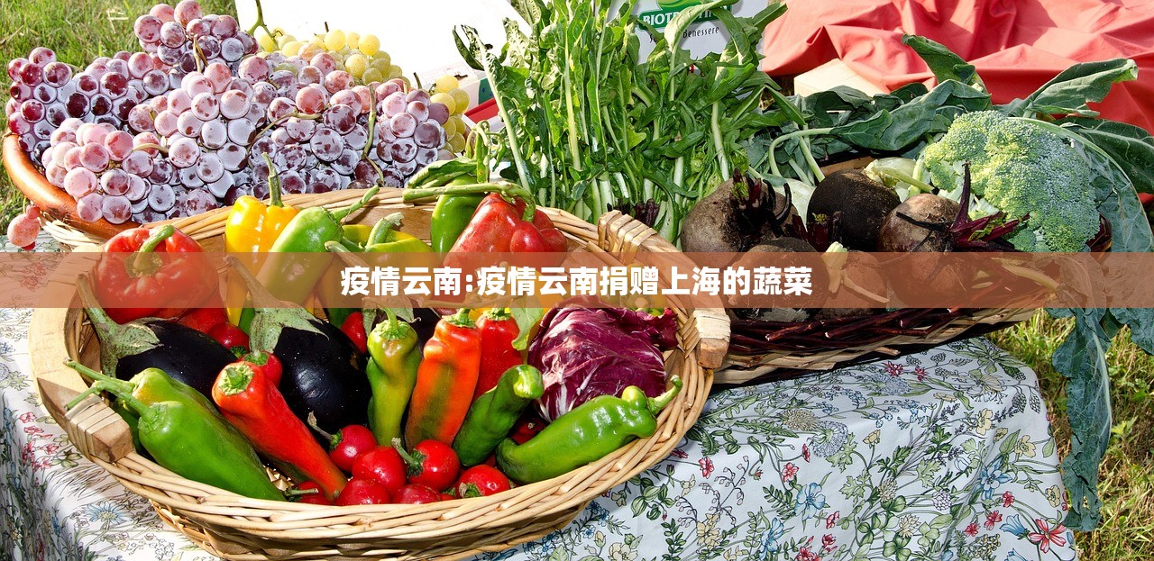 疫情云南:疫情云南捐赠上海的蔬菜