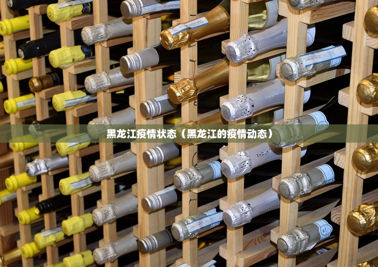 黑龙江疫情状态（黑龙江的疫情动态）