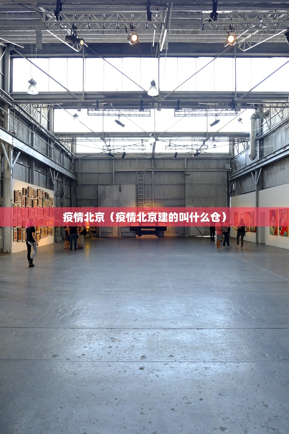 疫情北京（疫情北京建的叫什么仓）