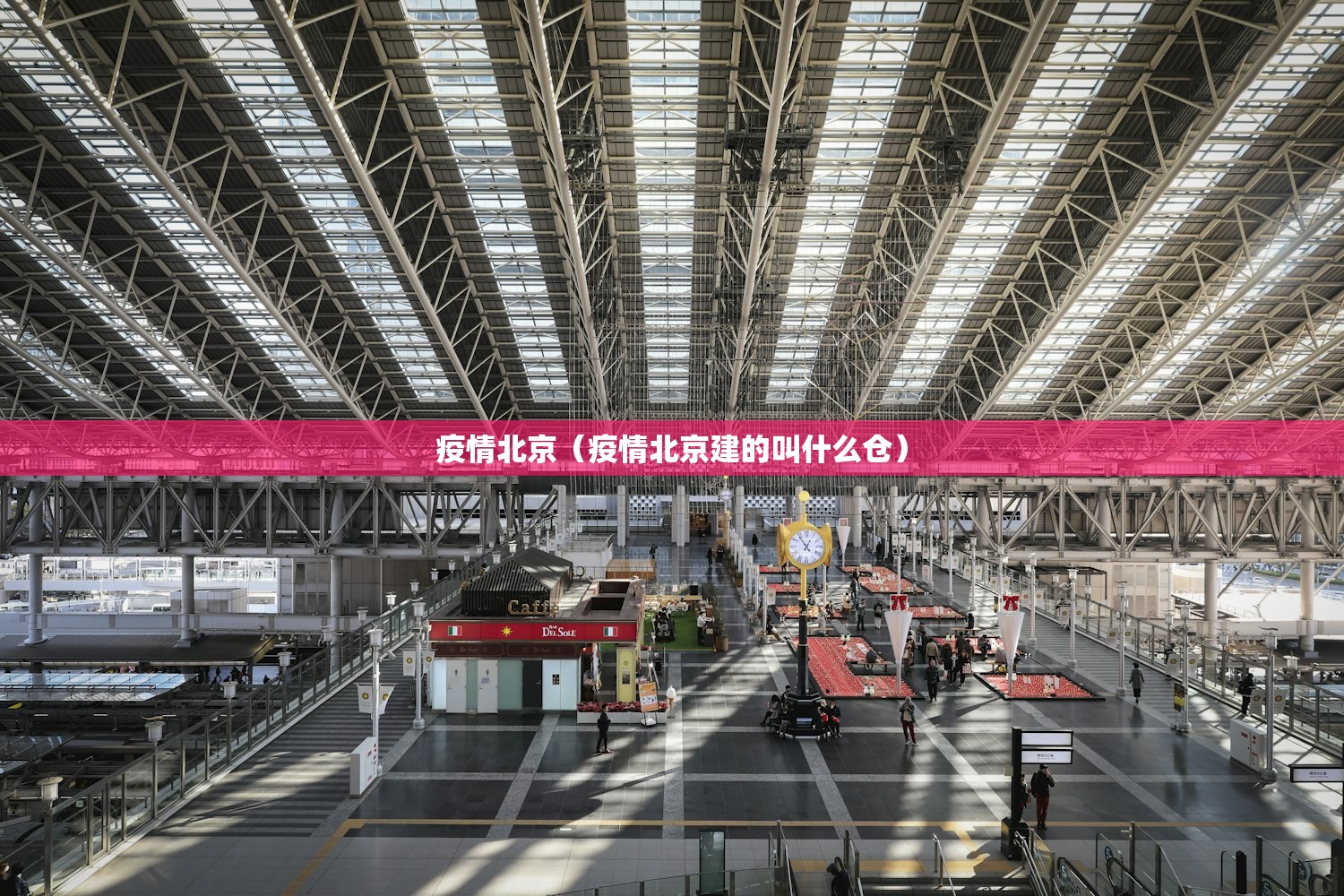 疫情北京（疫情北京建的叫什么仓）