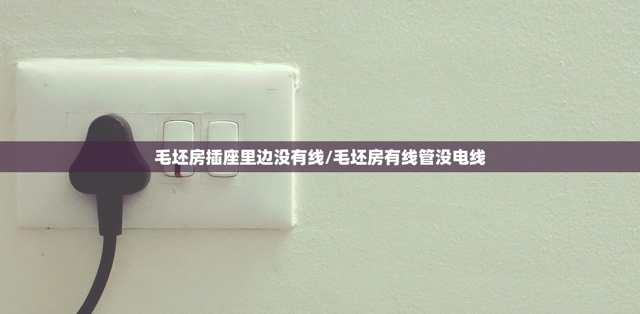 毛坯房插座里边没有线/毛坯房有线管没电线