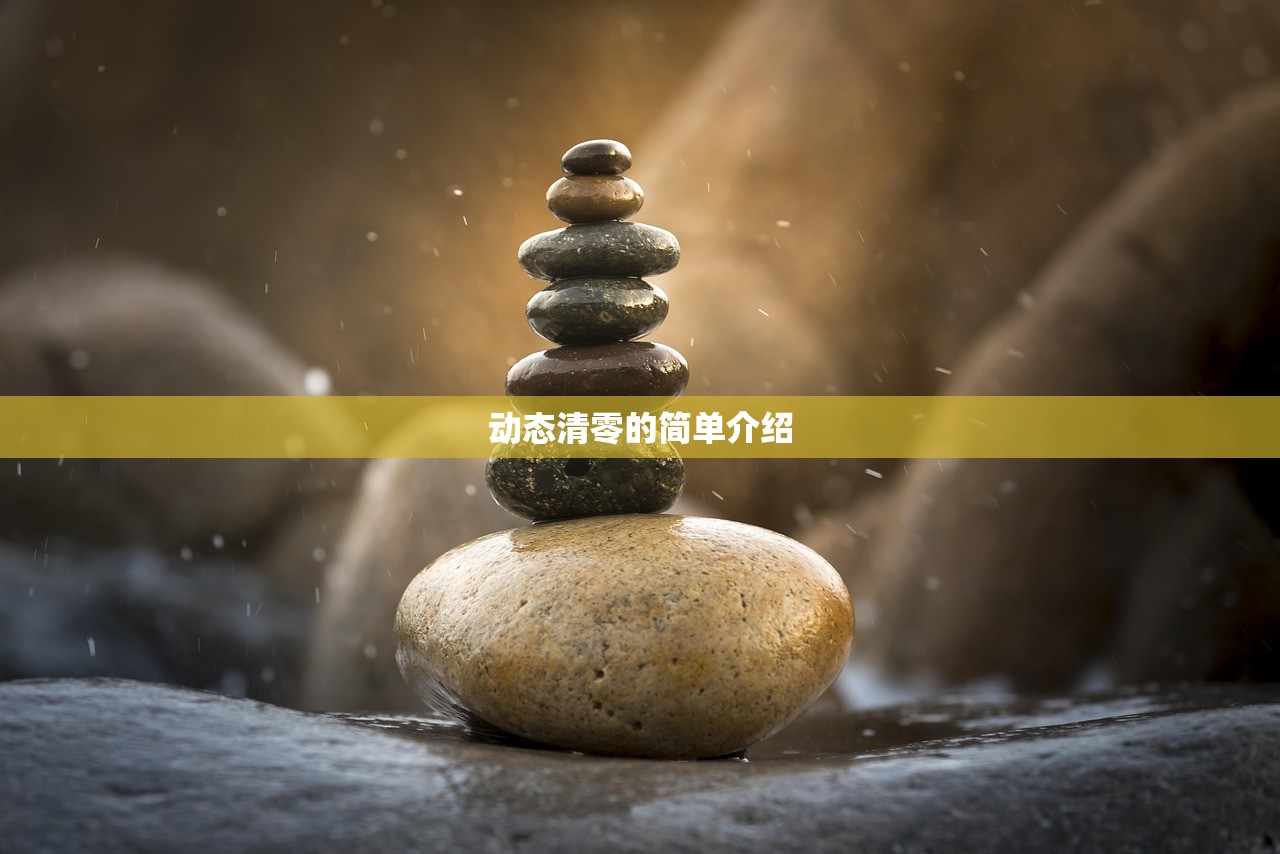 动态清零的简单介绍