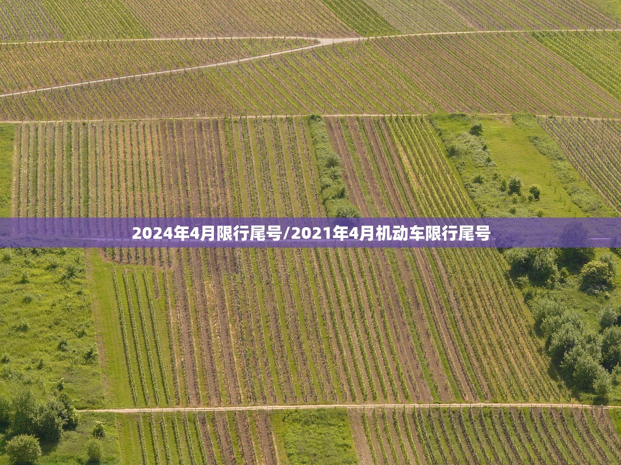 2024年4月限行尾号/2021年4月机动车限行尾号