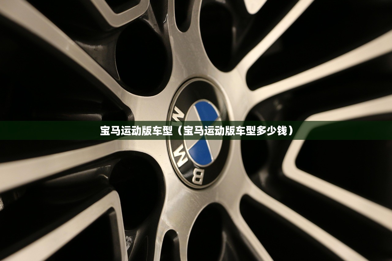 宝马运动版车型（宝马运动版车型多少钱）