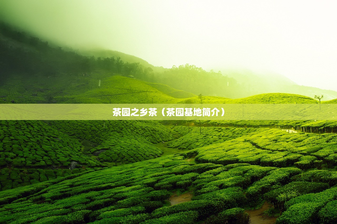 茶园之乡茶（茶园基地简介）
