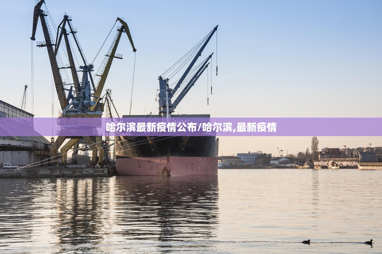 哈尔滨最新疫情公布/哈尔滨,最新疫情