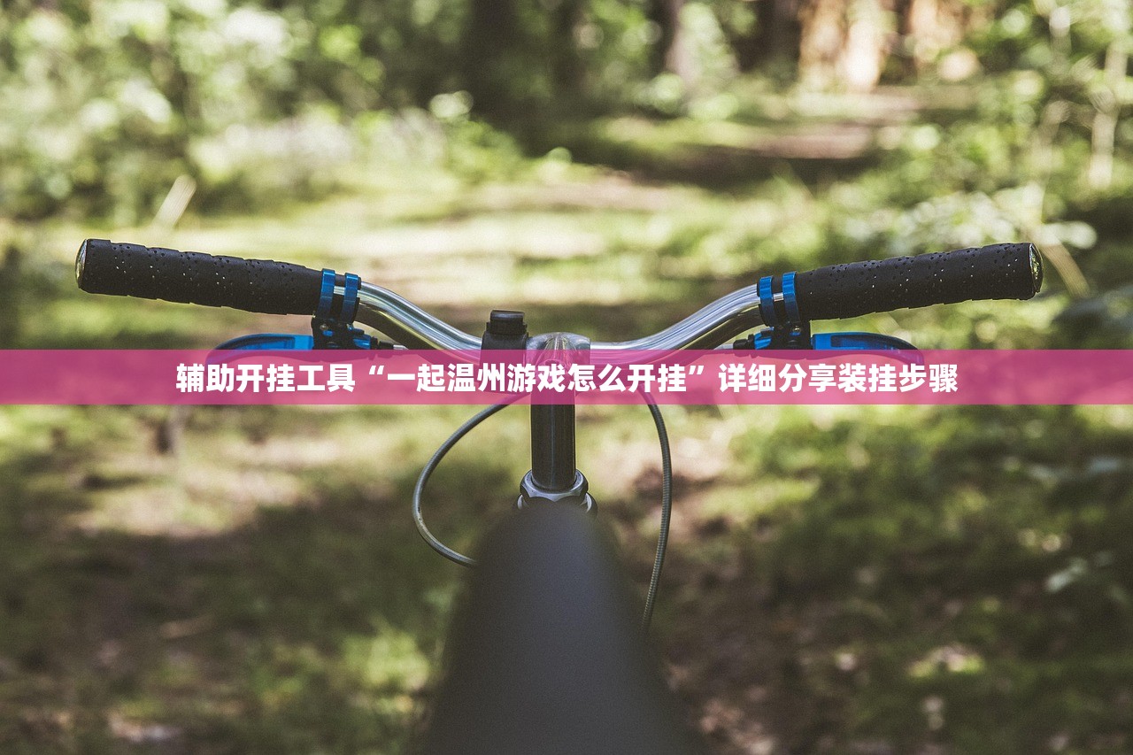 辅助开挂工具“一起温州游戏怎么开挂”详细分享装挂步骤