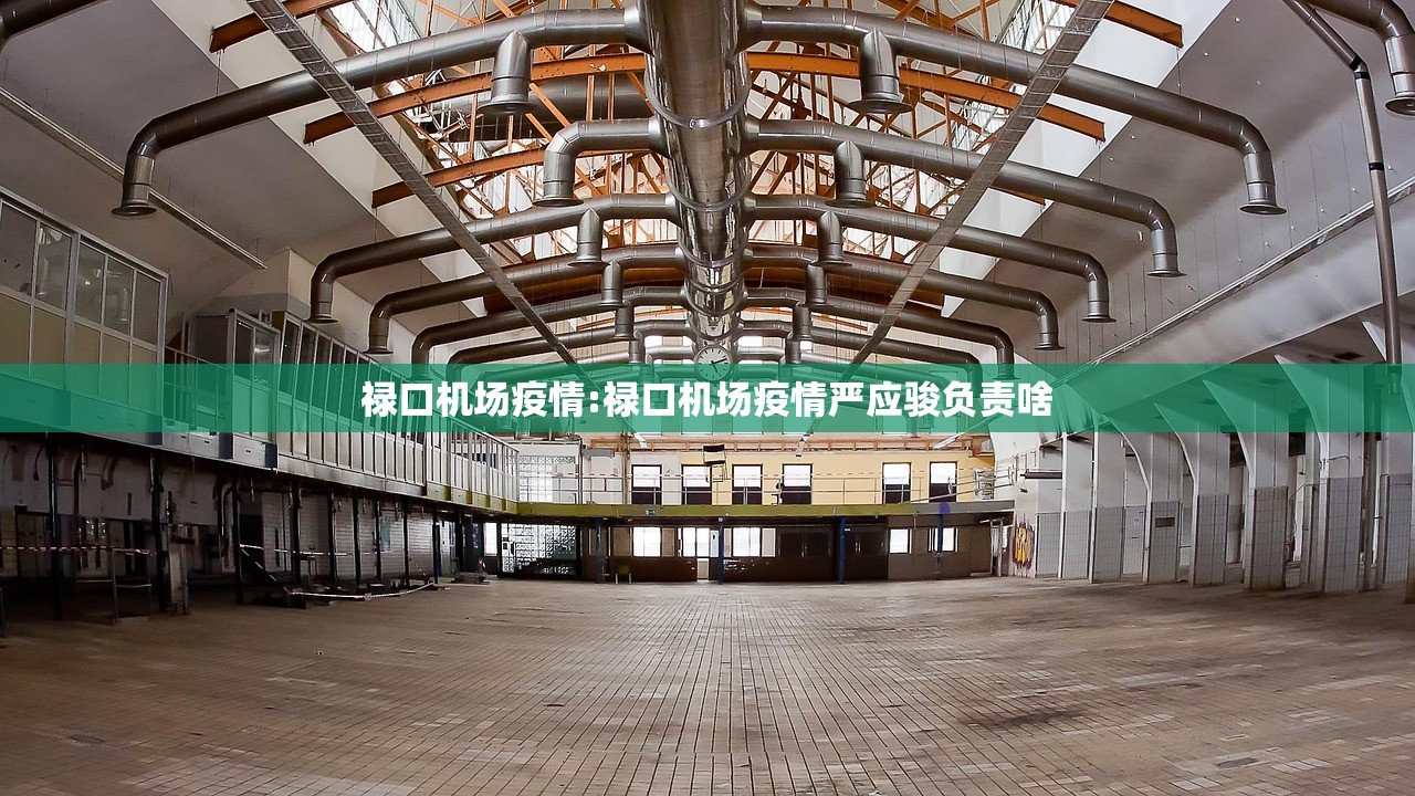 禄口机场疫情:禄口机场疫情严应骏负责啥
