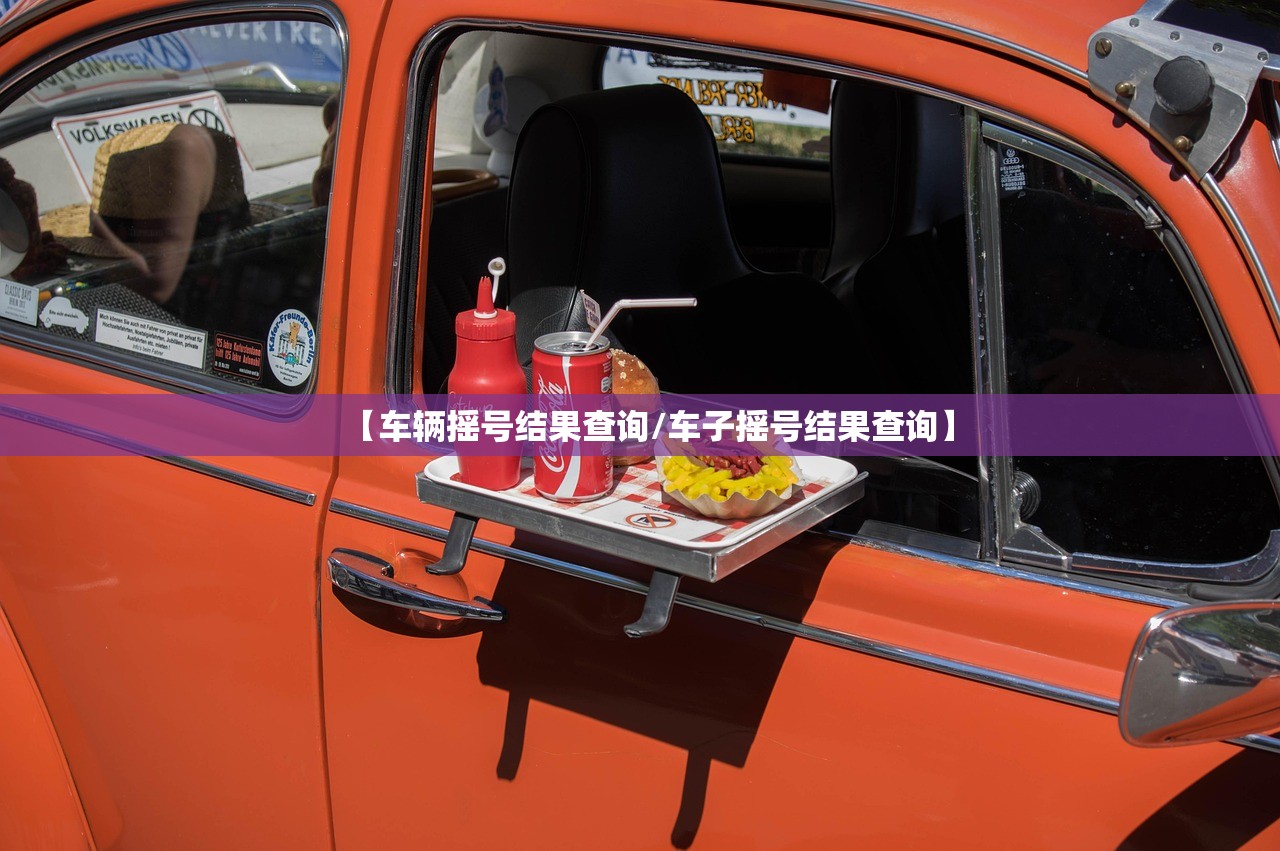 【车辆摇号结果查询/车子摇号结果查询】