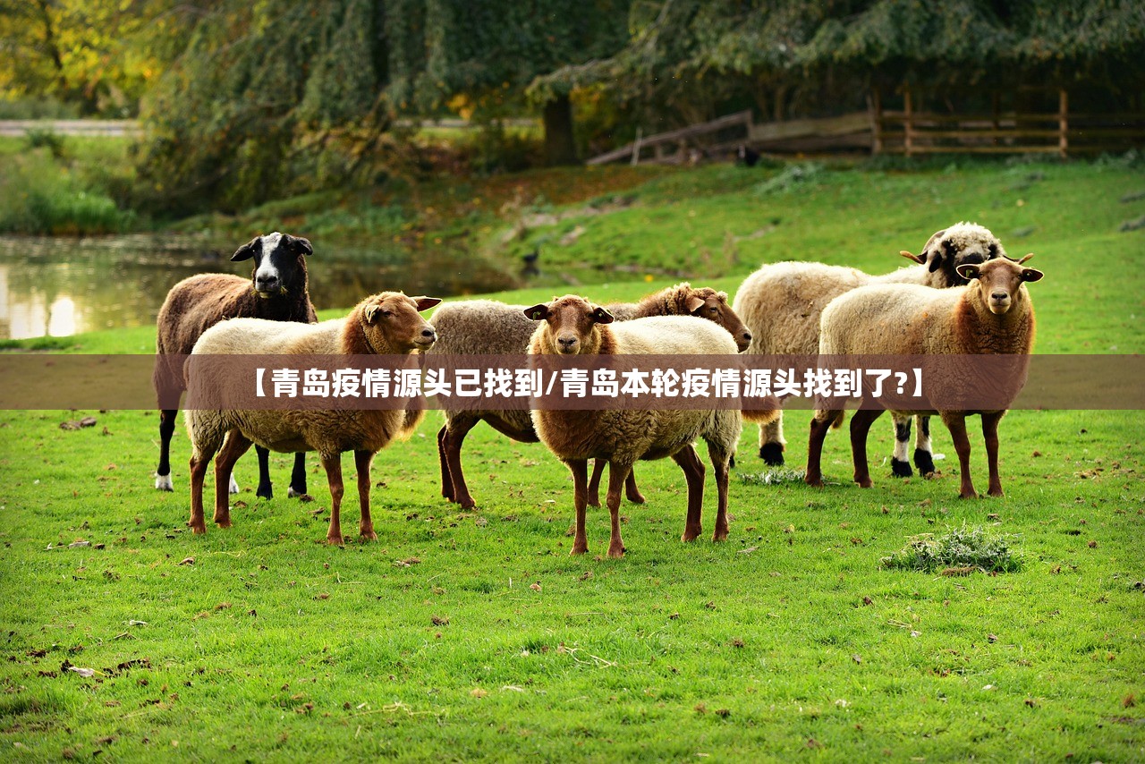【青岛疫情源头已找到/青岛本轮疫情源头找到了?】