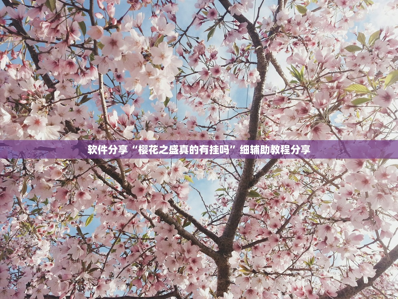 玩家辅助神器：开心麻将扬中麻将开挂神器下载软件”开挂(透视)辅助神器
