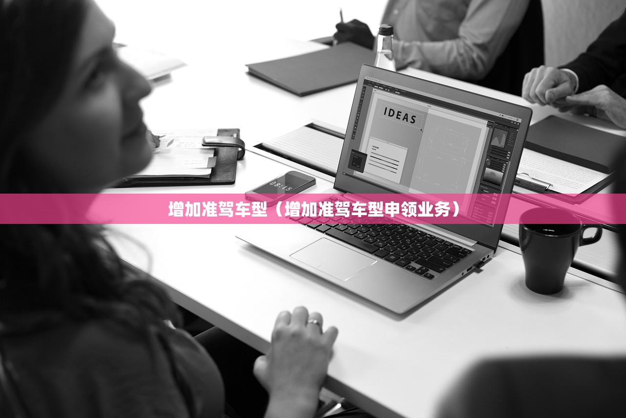 增加准驾车型（增加准驾车型申领业务）