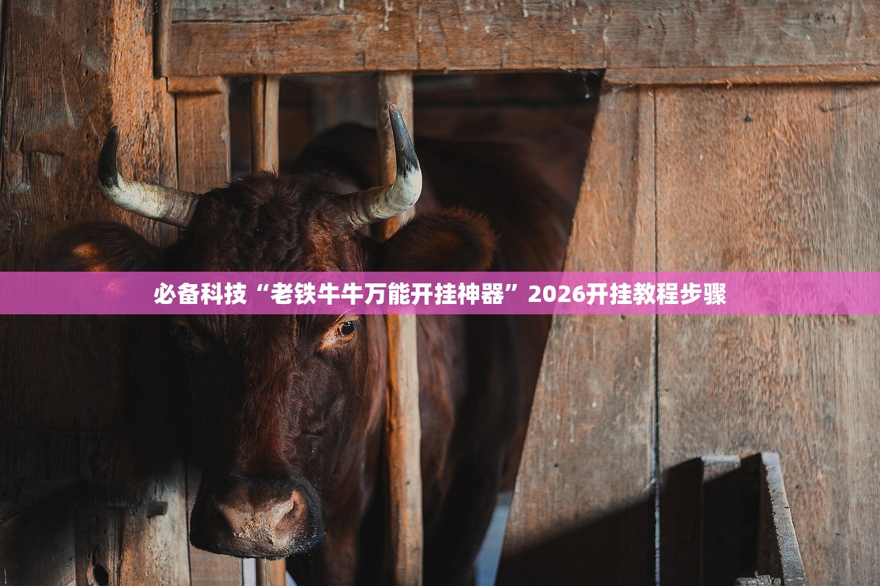 开挂辅助工具“上游大厅外卦辅助软件下载”2026开挂教程步骤
