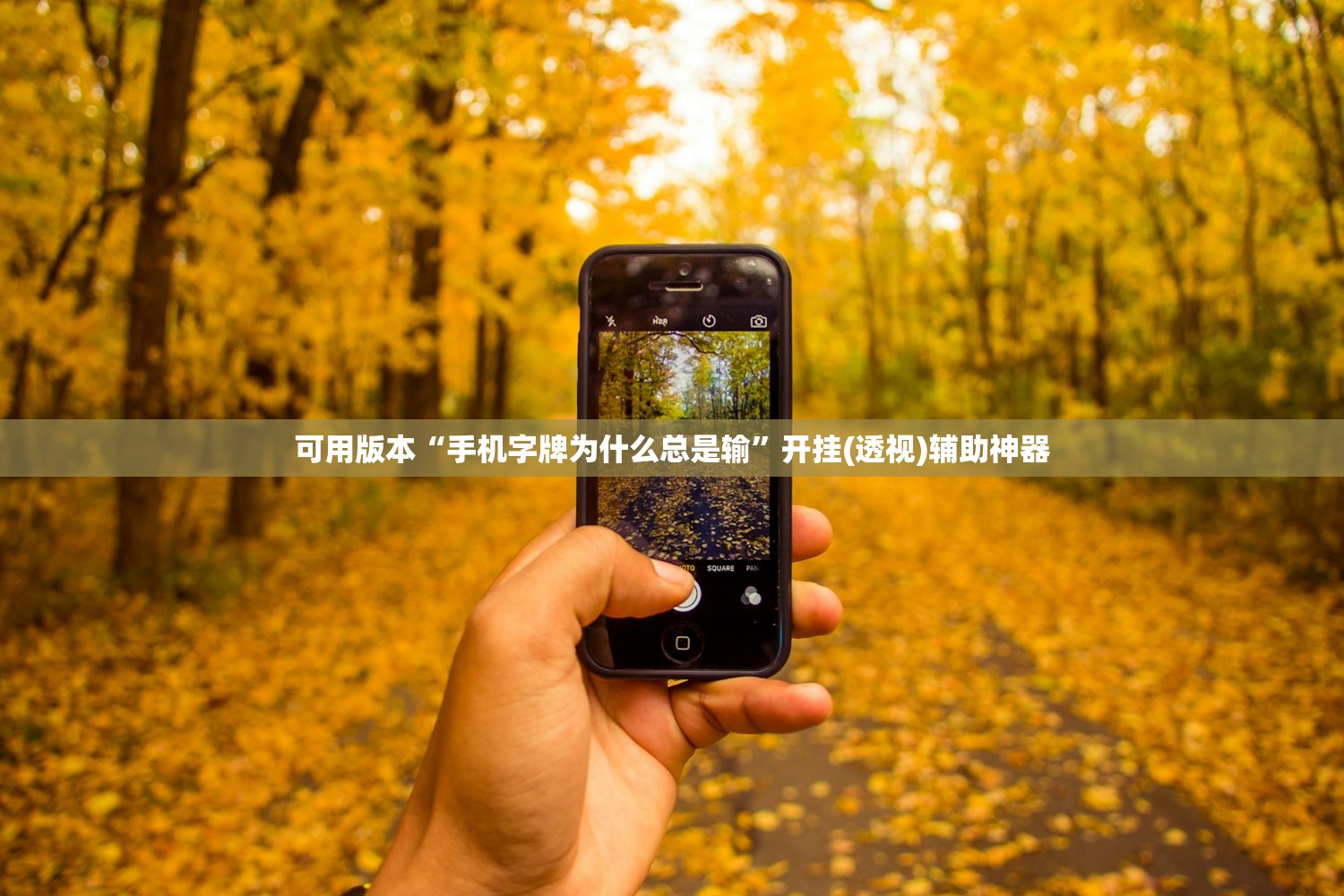 可用版本“手机字牌为什么总是输	”开挂(透视)辅助神器