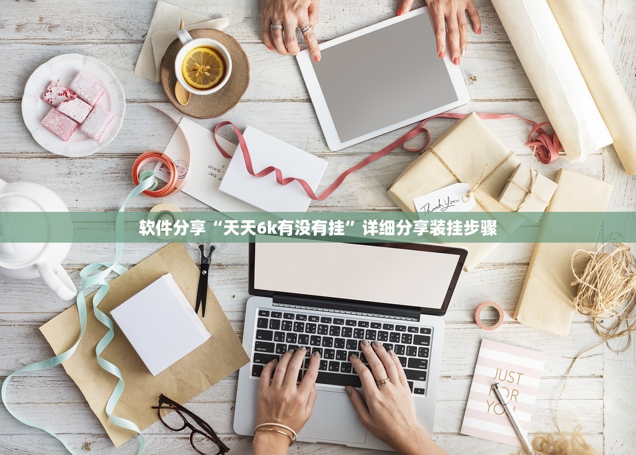 软件分享“天天6k有没有挂	”详细分享装挂步骤