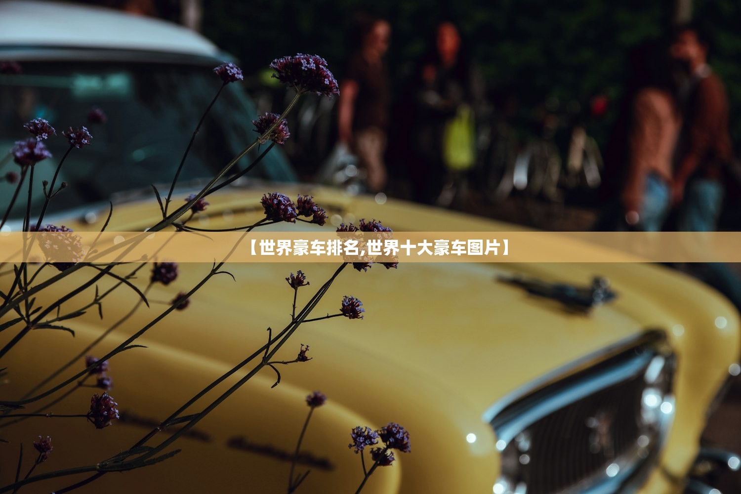 教程更新!：手机拼三张万能开挂神器”(辅助神器)开挂详细教程