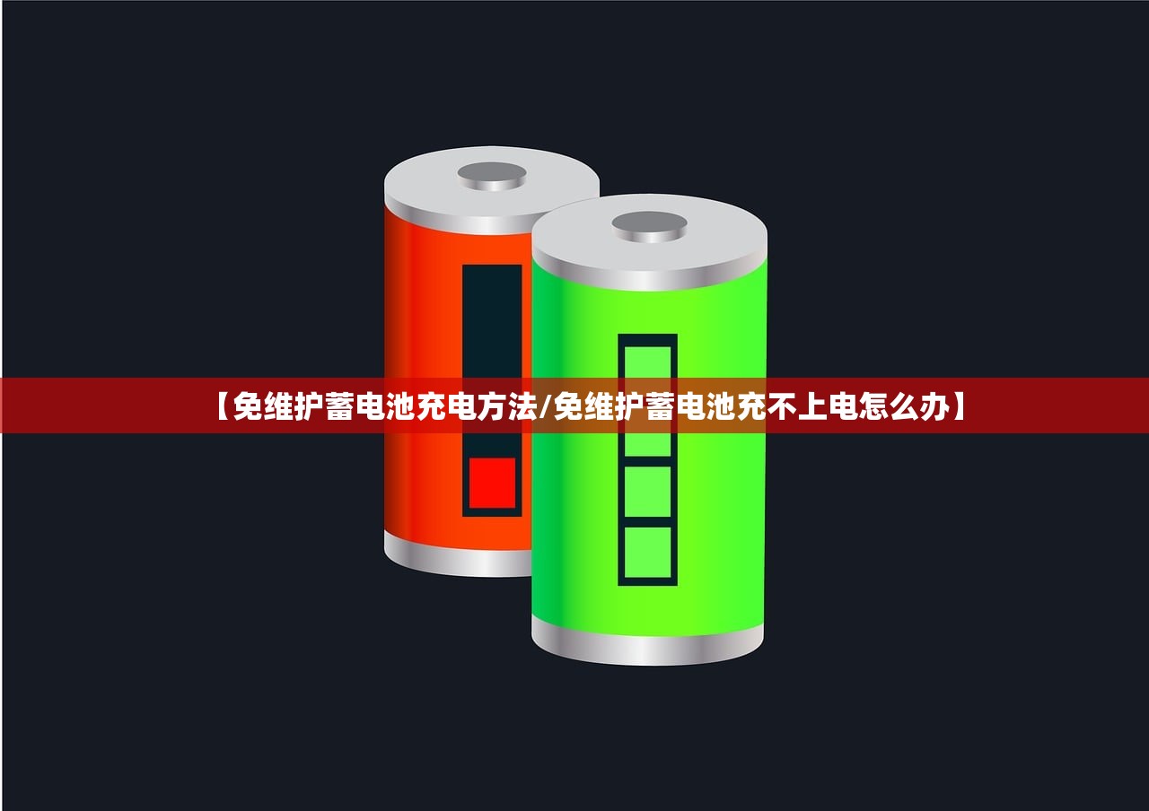 【免维护蓄电池充电方法/免维护蓄电池充不上电怎么办】