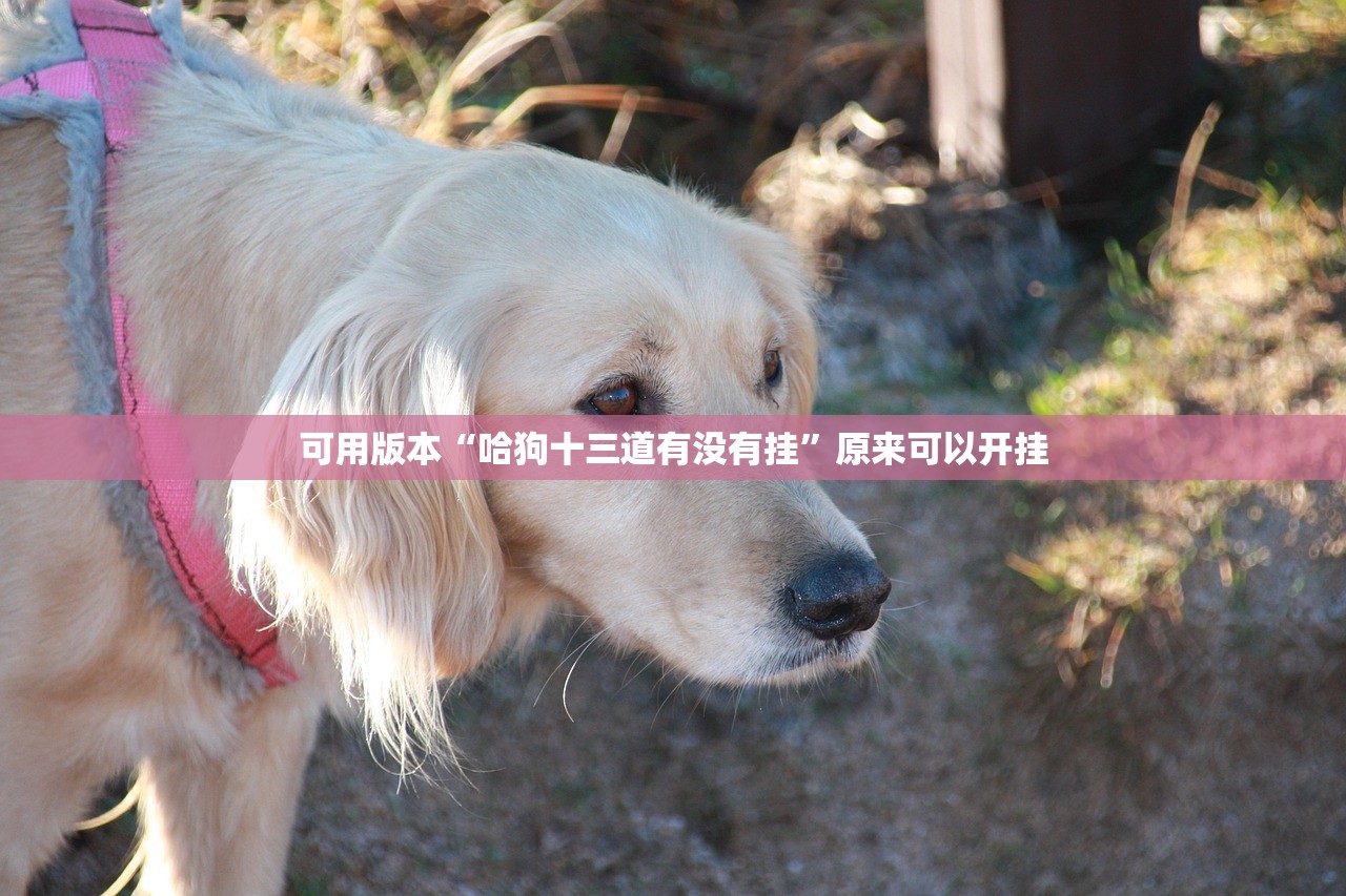 浙江新增5例本土无症状:浙江新增无症状2例