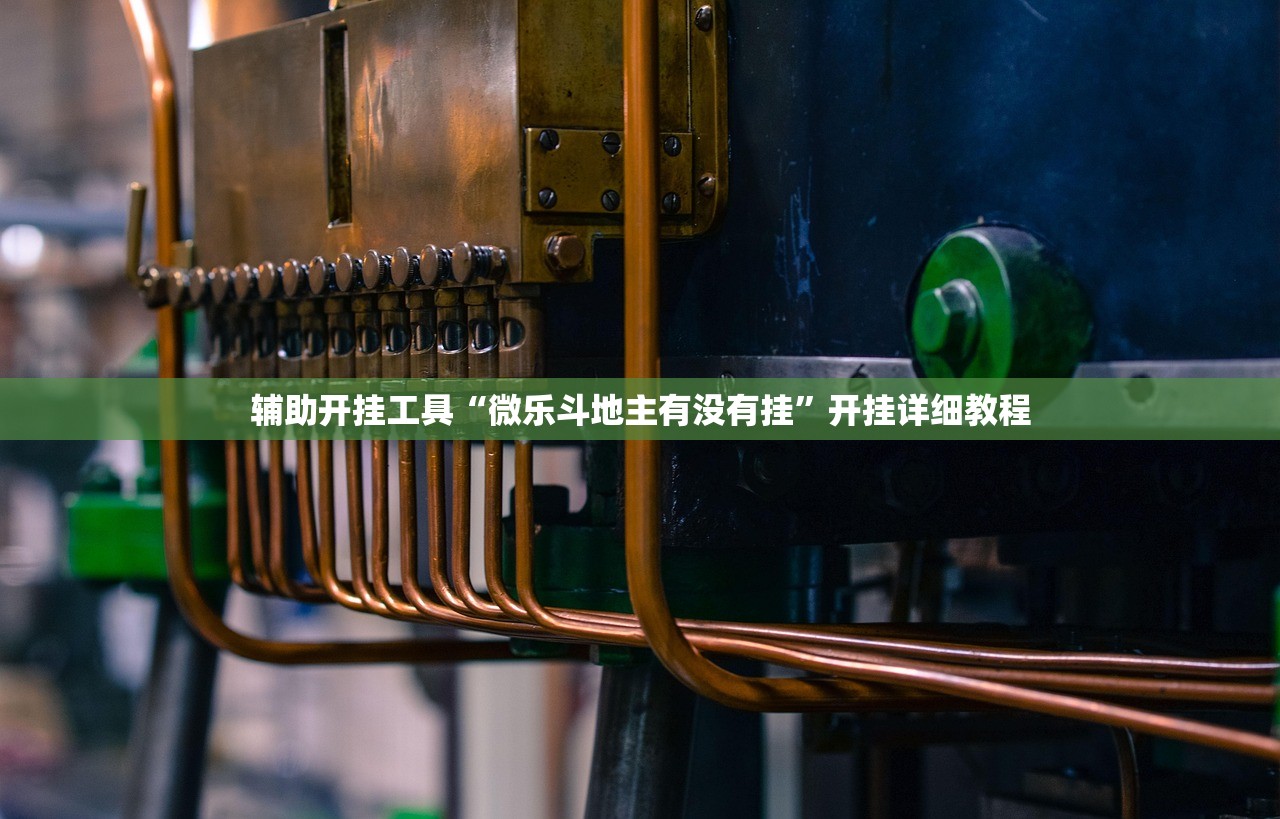 辅助开挂工具“微乐斗地主有没有挂”开挂详细教程