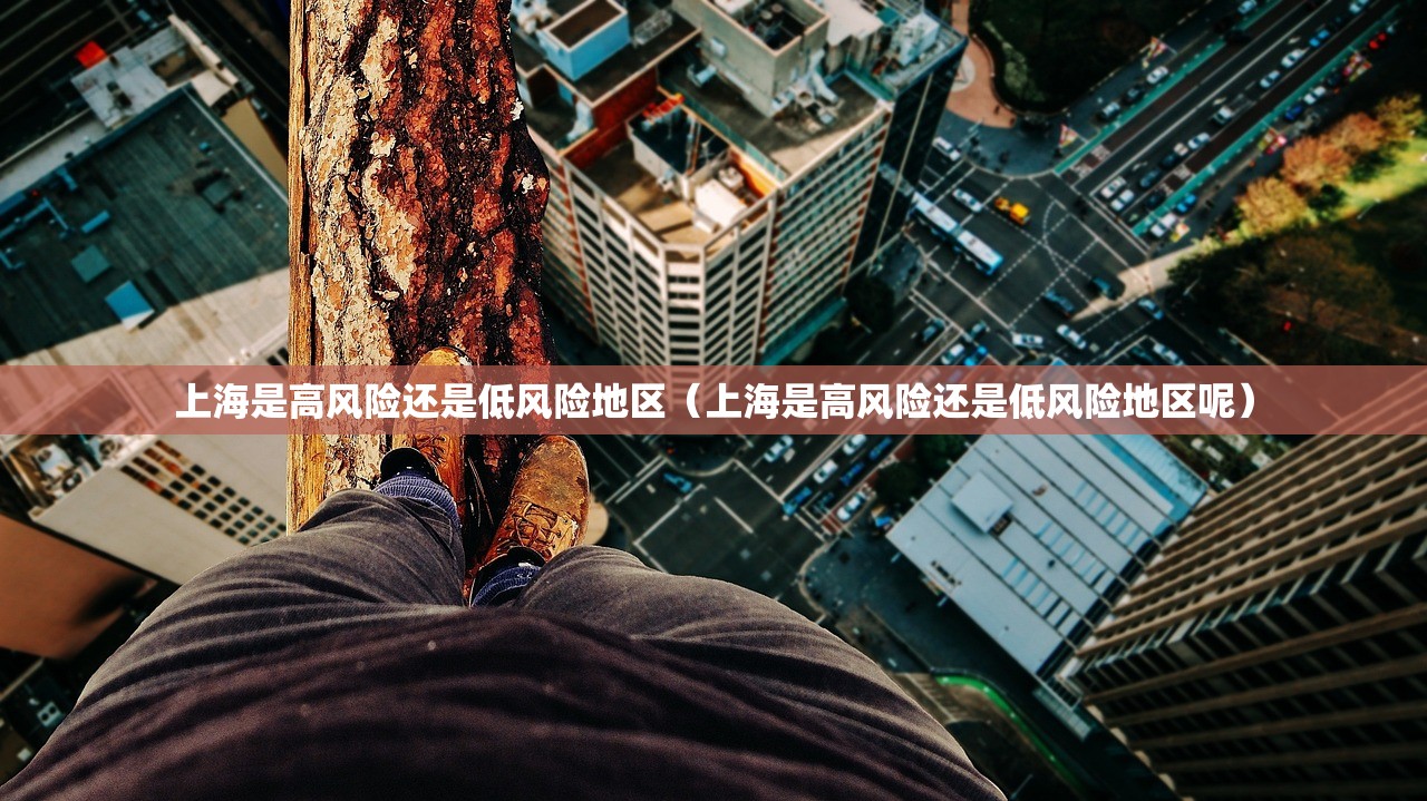 上海是高风险还是低风险地区（上海是高风险还是低风险地区呢）