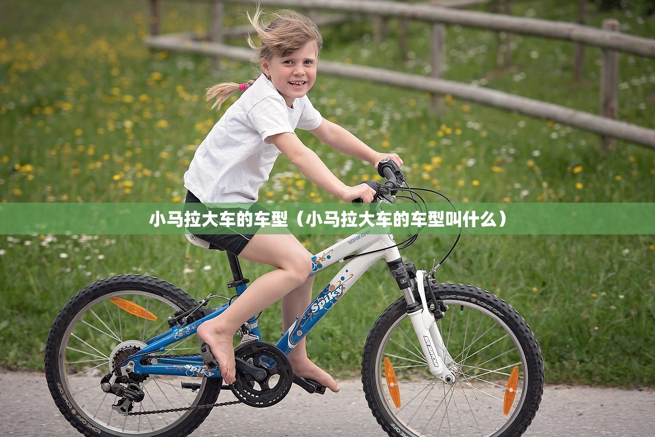 小马拉大车的车型（小马拉大车的车型叫什么）