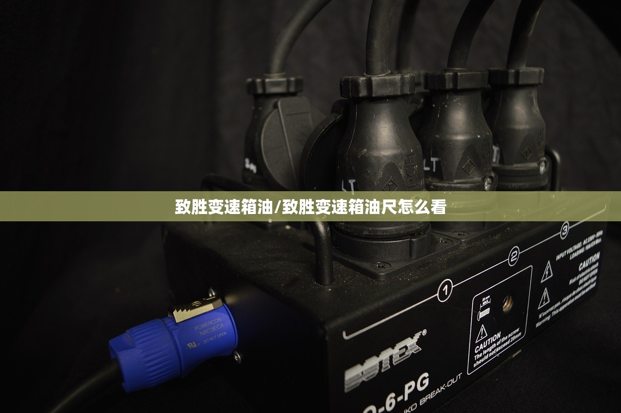 致胜变速箱油/致胜变速箱油尺怎么看