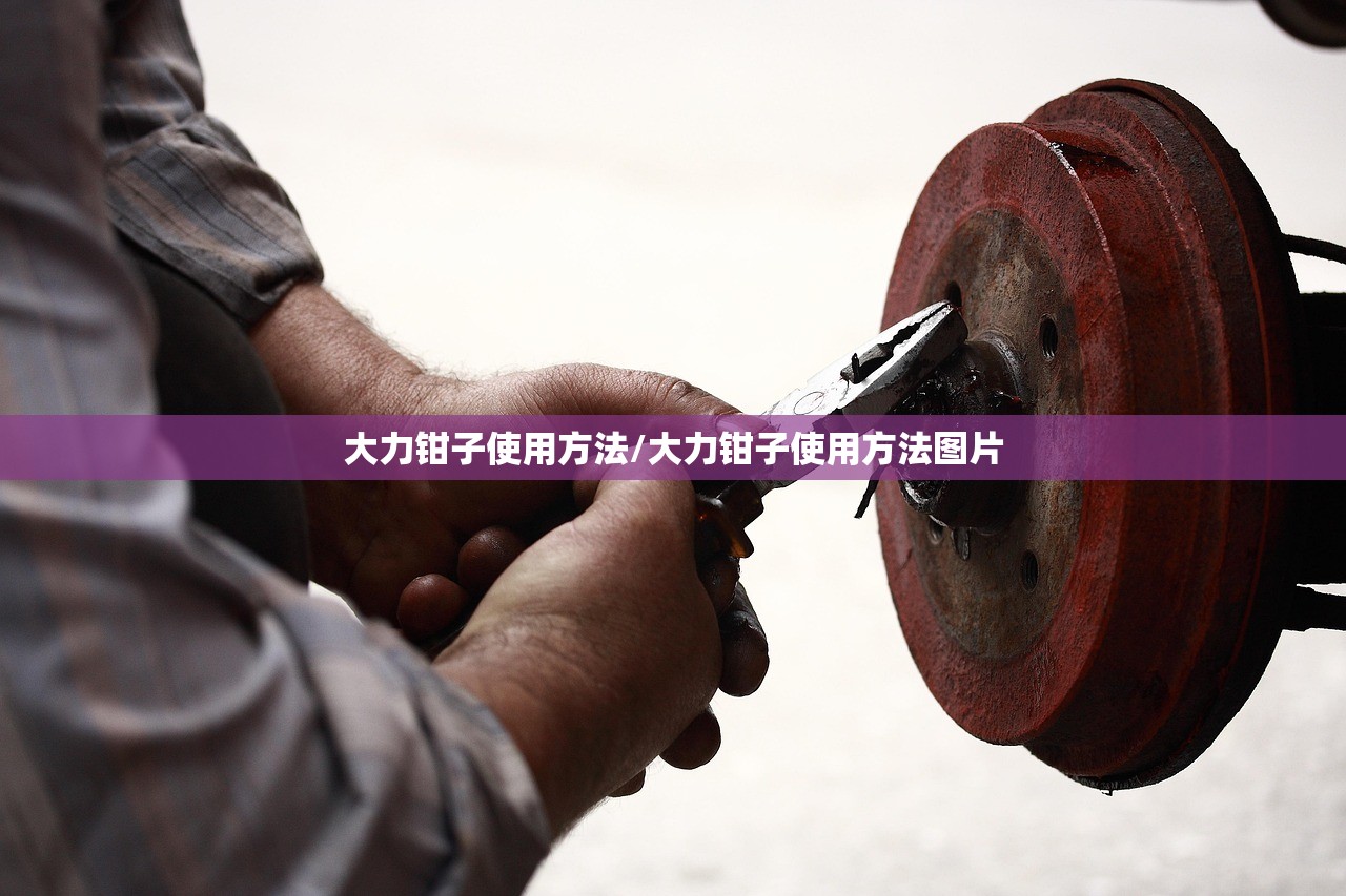 大力钳子使用方法/大力钳子使用方法图片