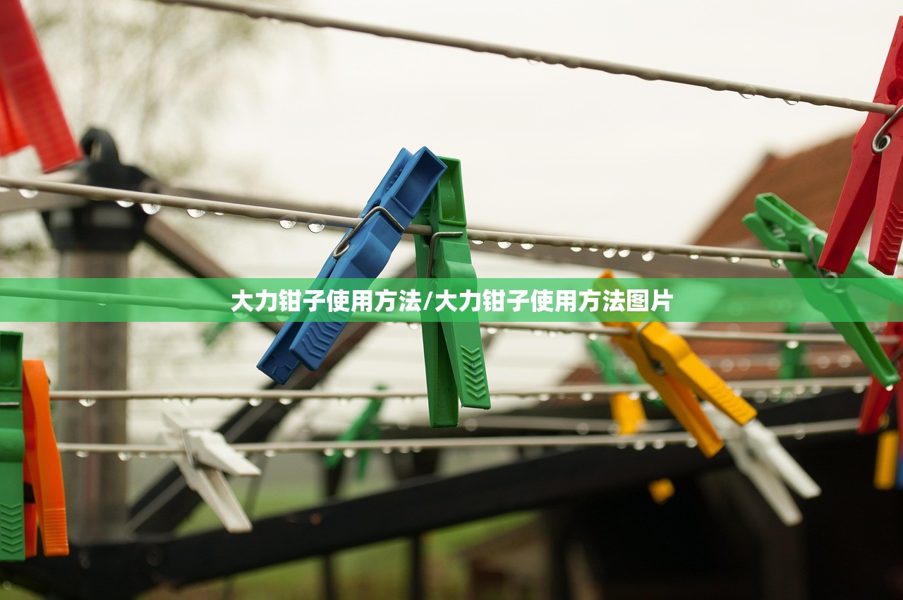 大力钳子使用方法/大力钳子使用方法图片