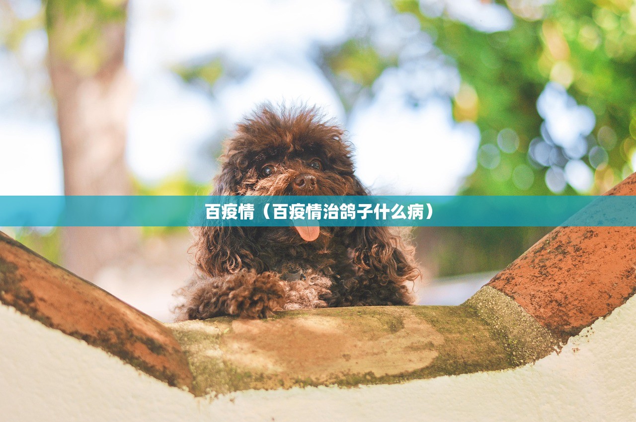 百疫情（百疫情治鸽子什么病）