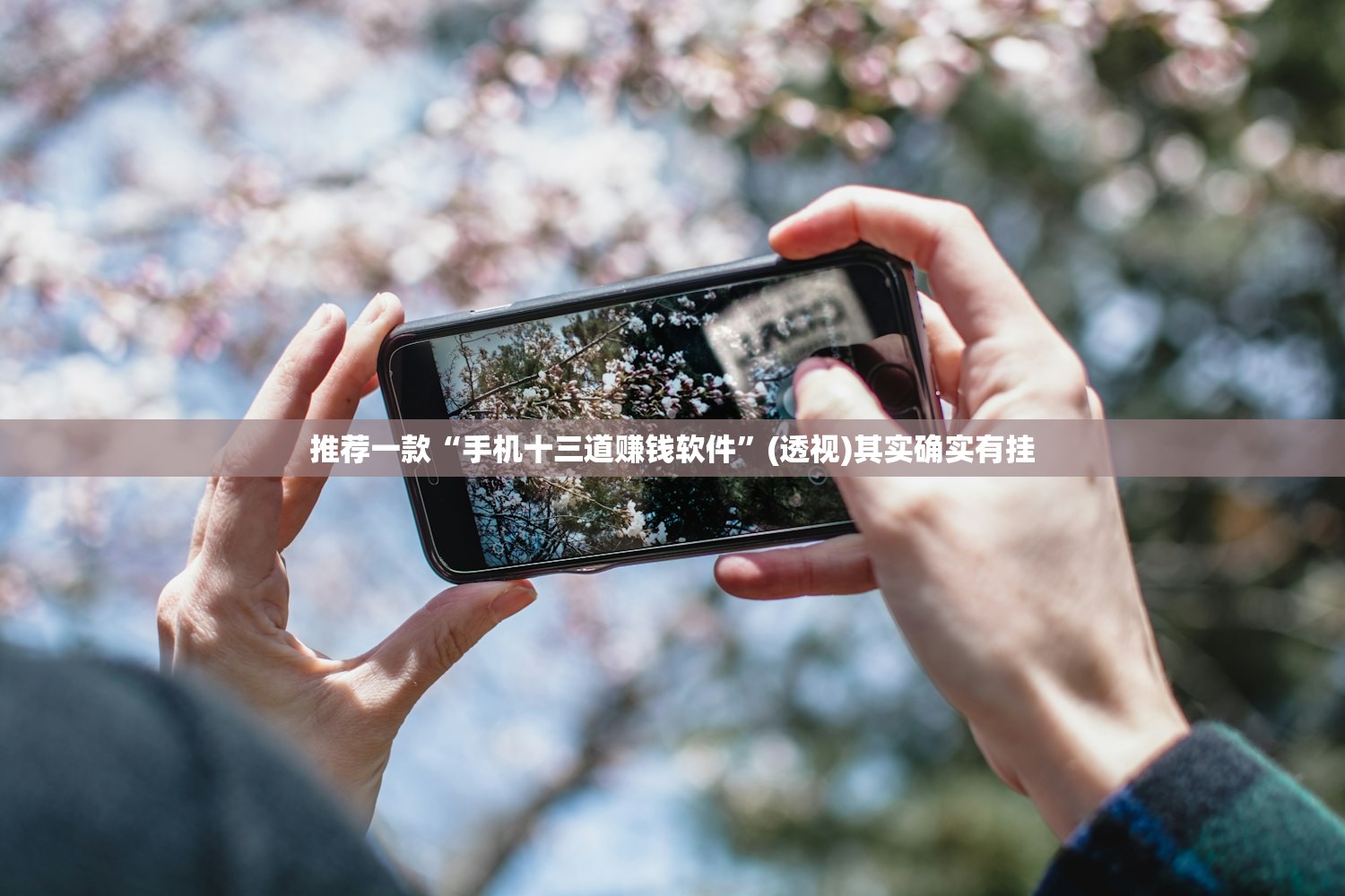 推荐一款“手机十三道赚钱软件”(透视)其实确实有挂