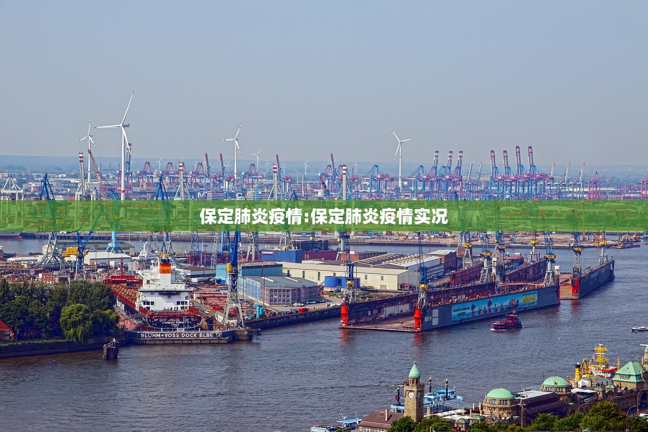 保定肺炎疫情:保定肺炎疫情实况