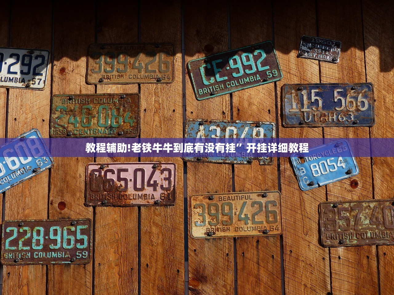 湖北新增确诊病例411例/湖北新增确诊366例