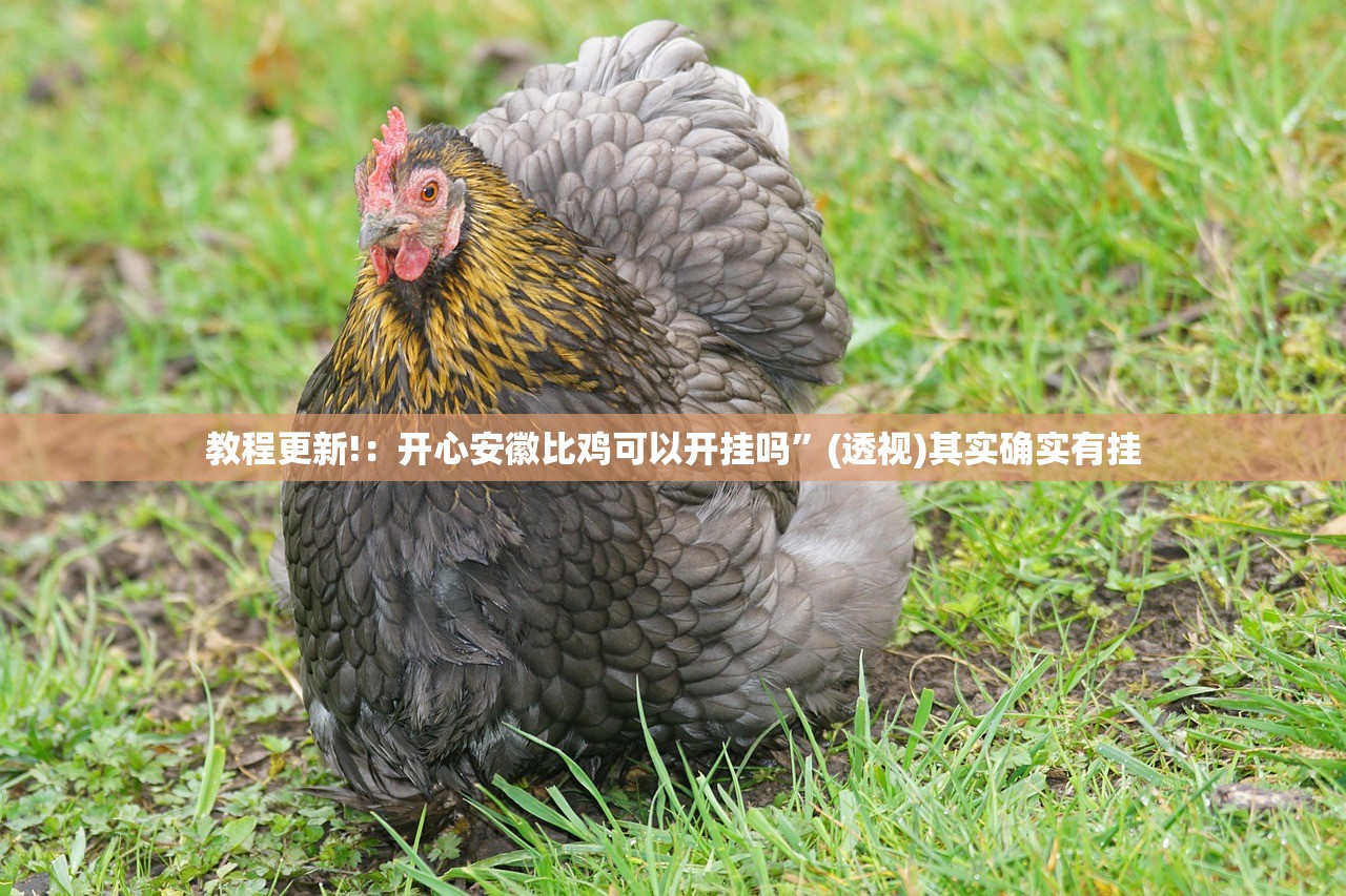 教程更新!：开心安徽比鸡可以开挂吗”(透视)其实确实有挂