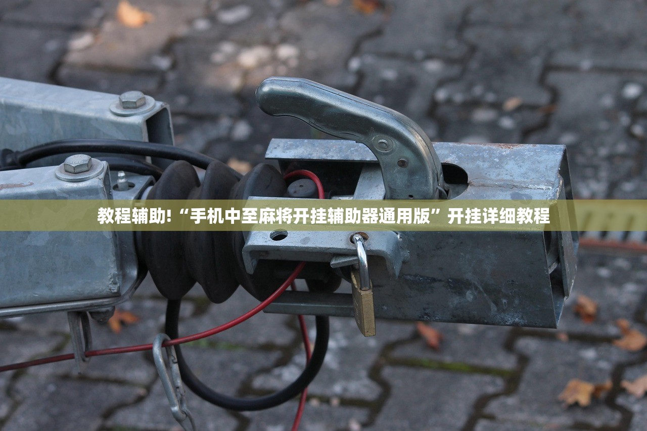 教程更新!：欢聚水鱼免费怎么开挂”(透视)其实确实有挂