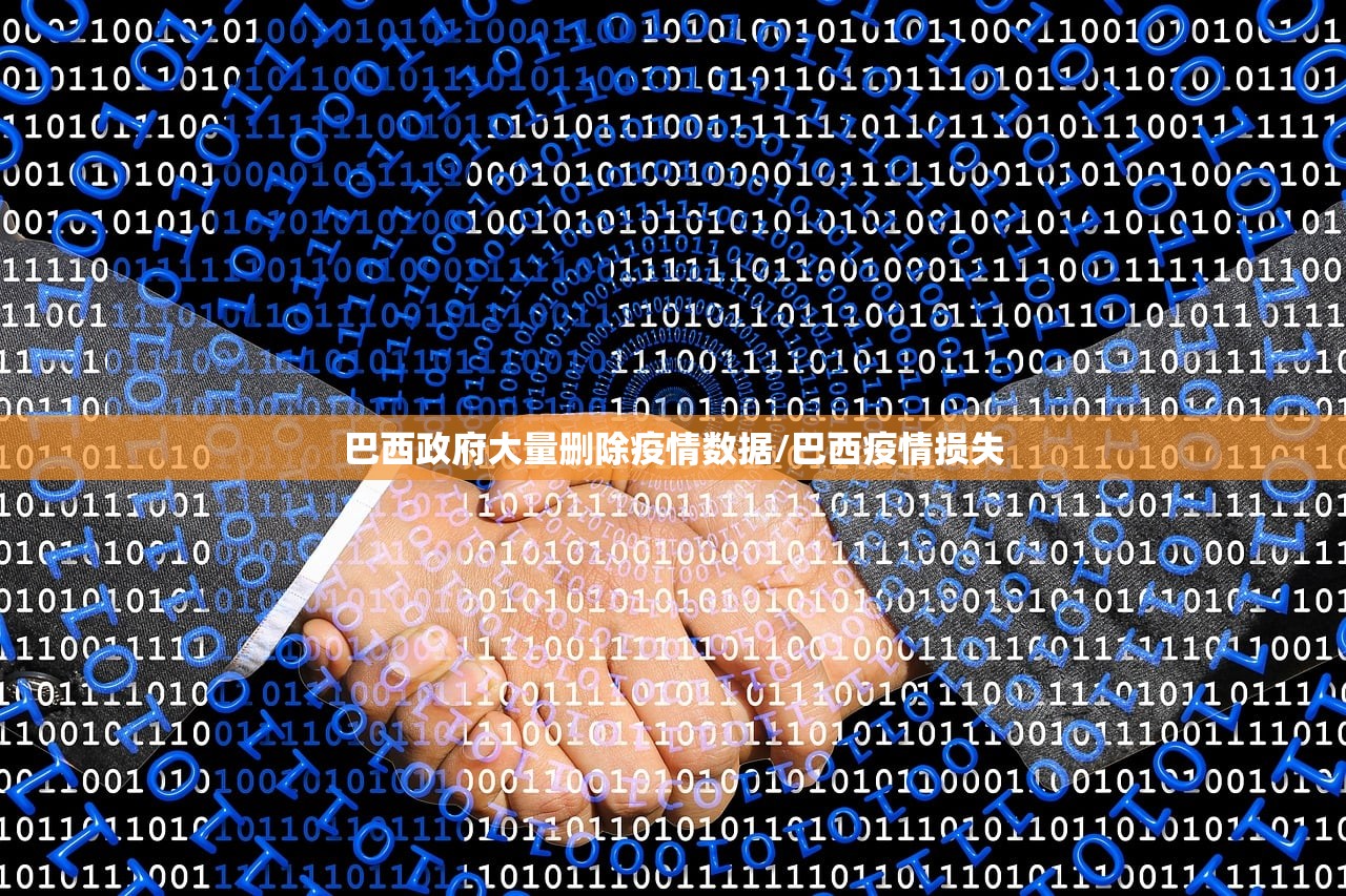 巴西政府大量删除疫情数据/巴西疫情损失