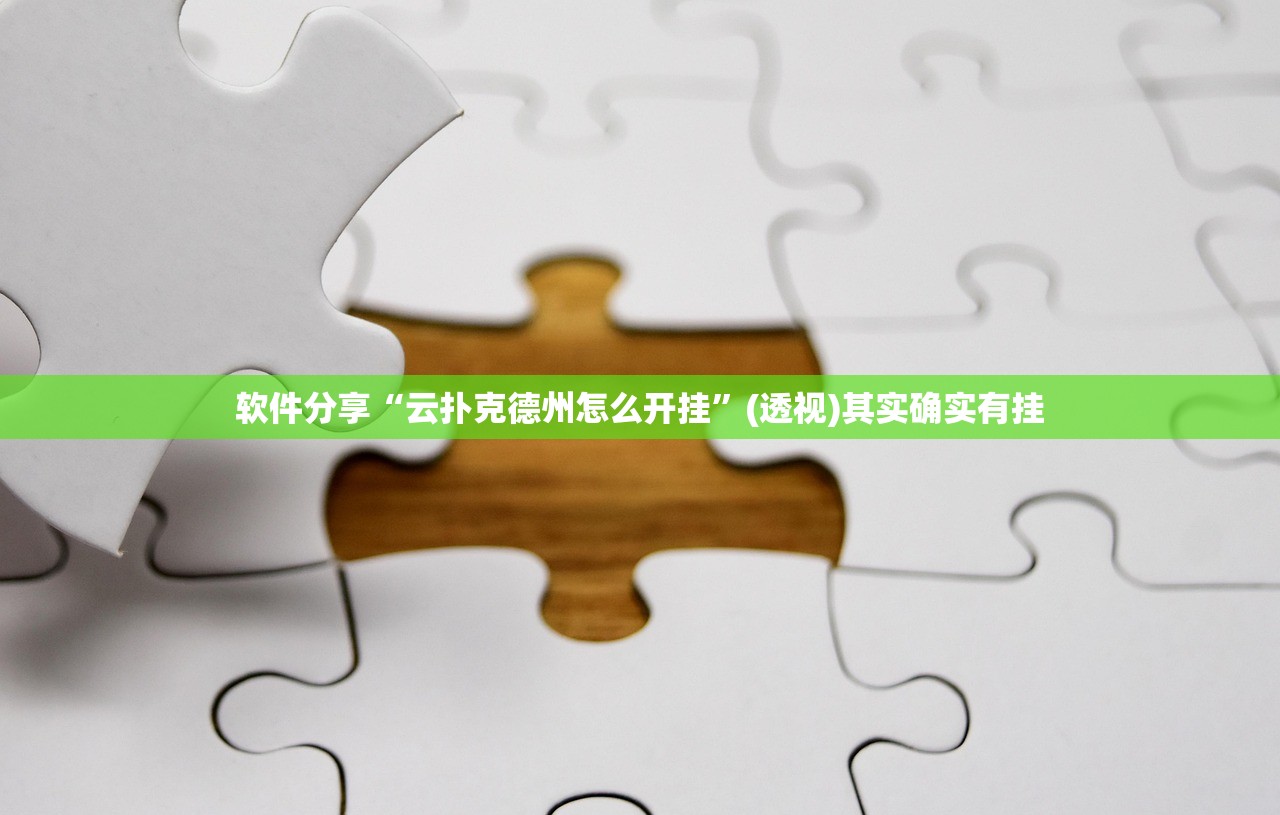 软件分享“云扑克德州怎么开挂”(透视)其实确实有挂