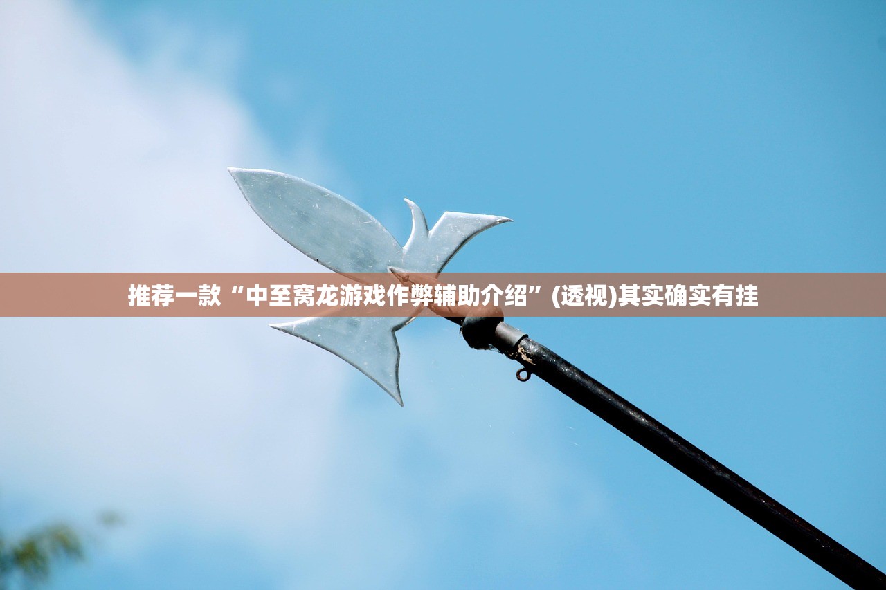 推荐一款“中至窝龙游戏作弊辅助介绍”(透视)其实确实有挂