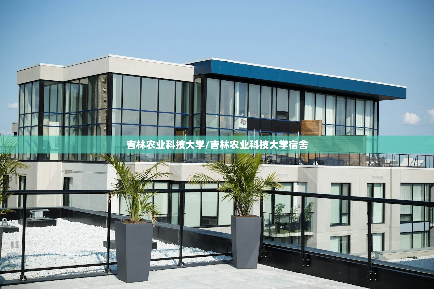 吉林农业科技大学/吉林农业科技大学宿舍