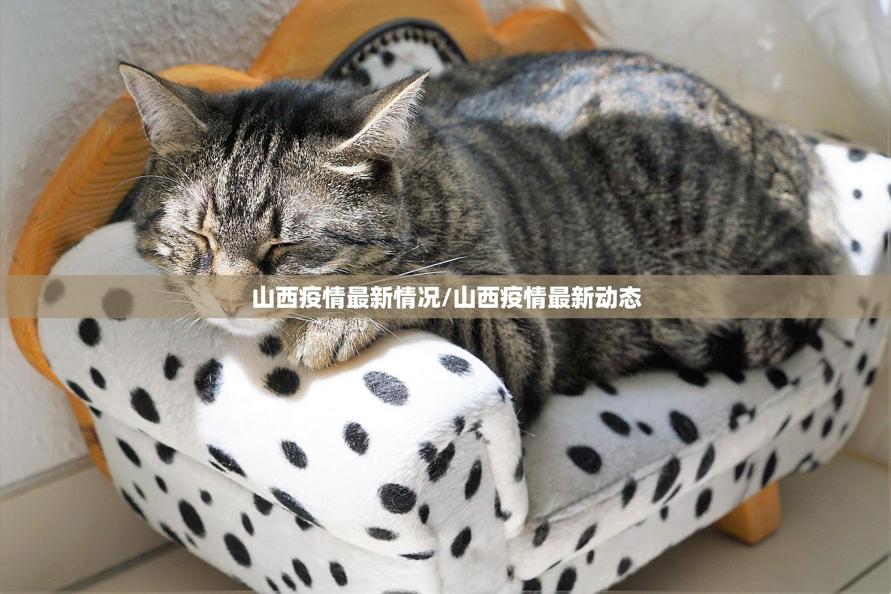 山西疫情最新情况/山西疫情最新动态