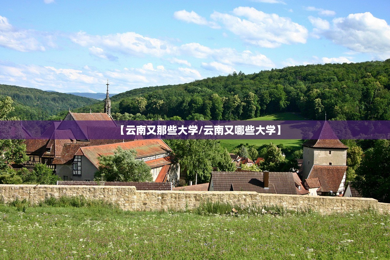 【云南又那些大学/云南又哪些大学】