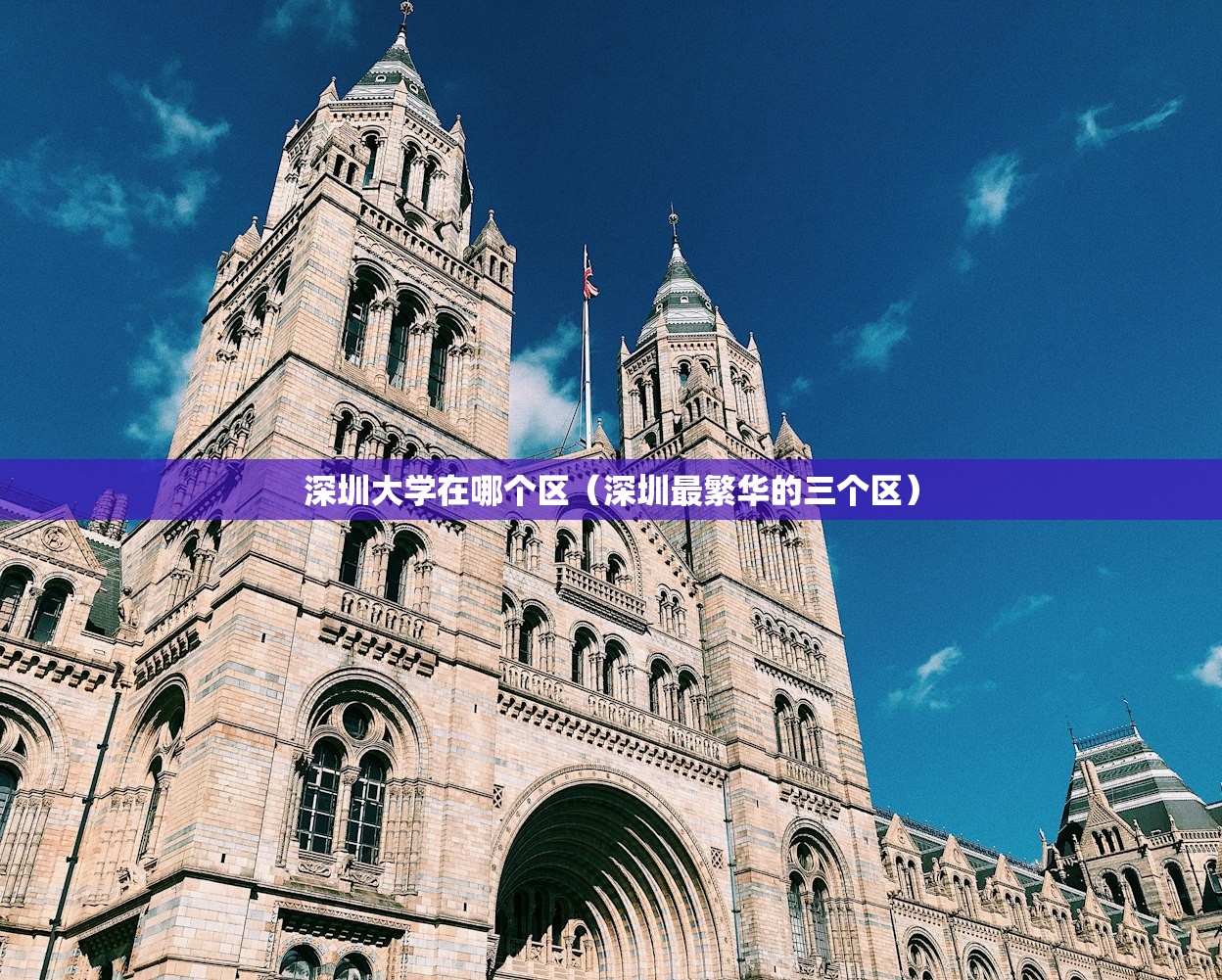 深圳大学在哪个区（深圳最繁华的三个区）