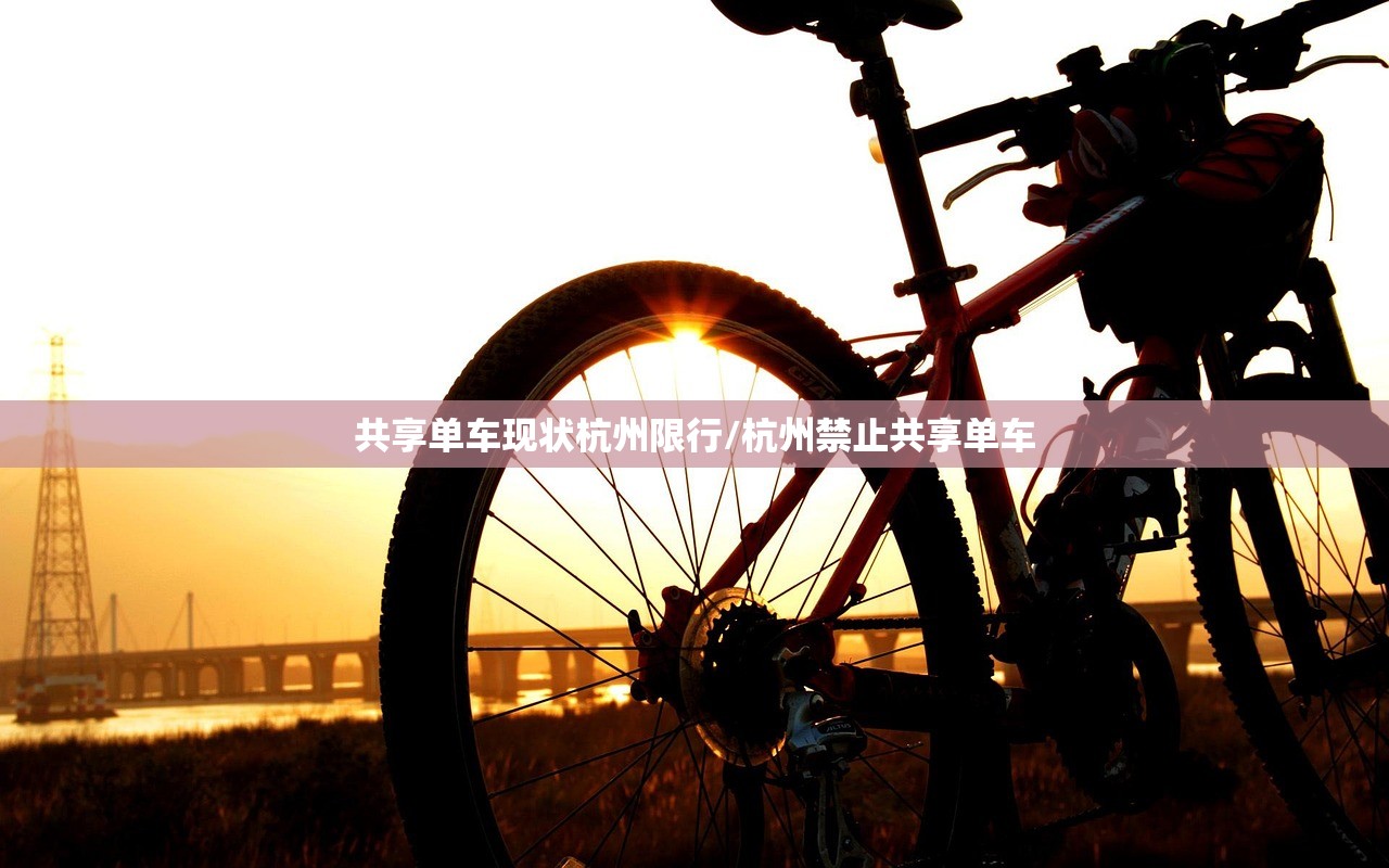共享单车现状杭州限行/杭州禁止共享单车