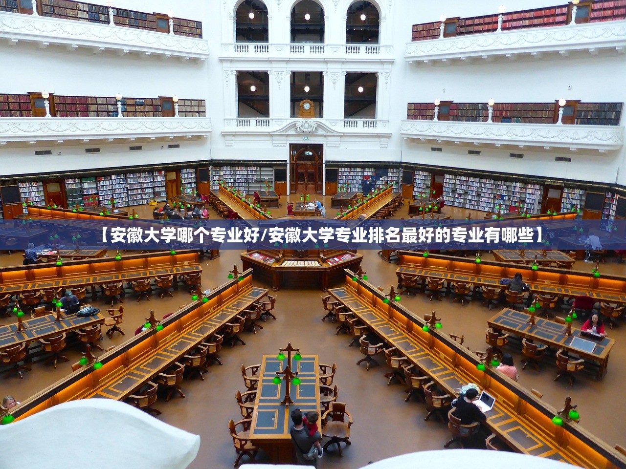 【安徽大学哪个专业好/安徽大学专业排名最好的专业有哪些】