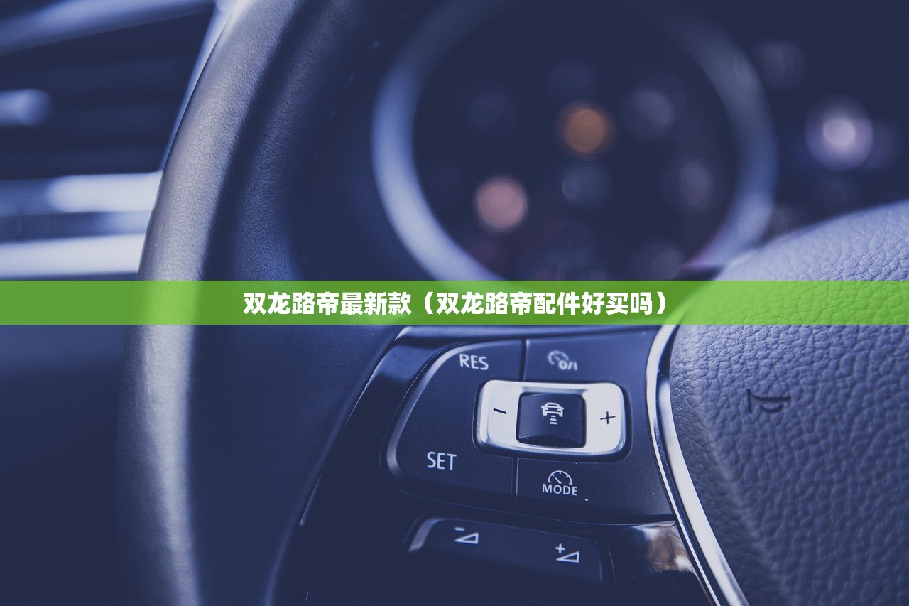 双龙路帝最新款（双龙路帝配件好买吗）