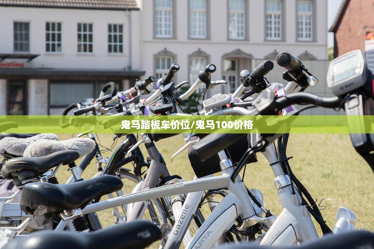 鬼马踏板车价位/鬼马100价格