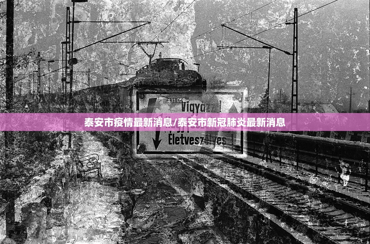 泰安市疫情最新消息/泰安市新冠肺炎最新消息