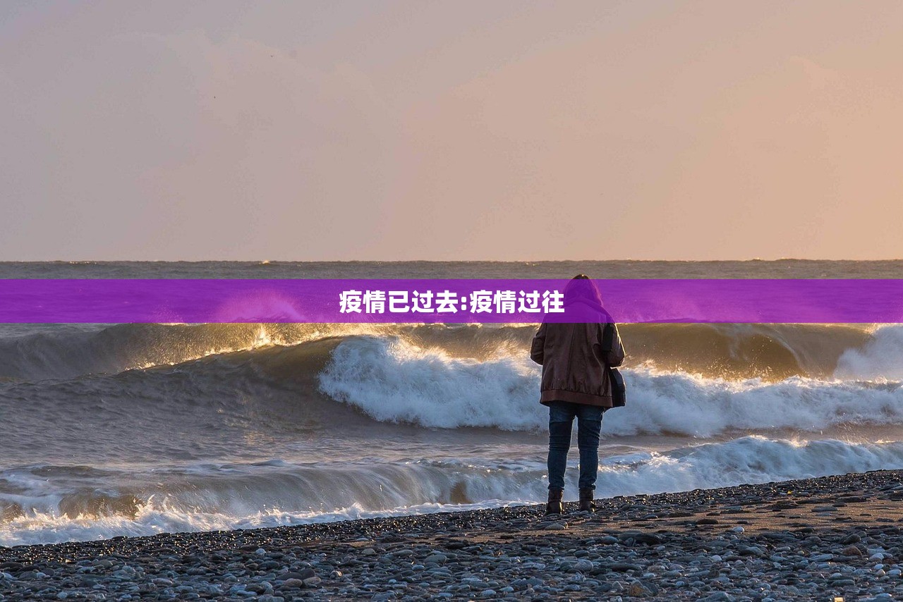 疫情已过去:疫情过往