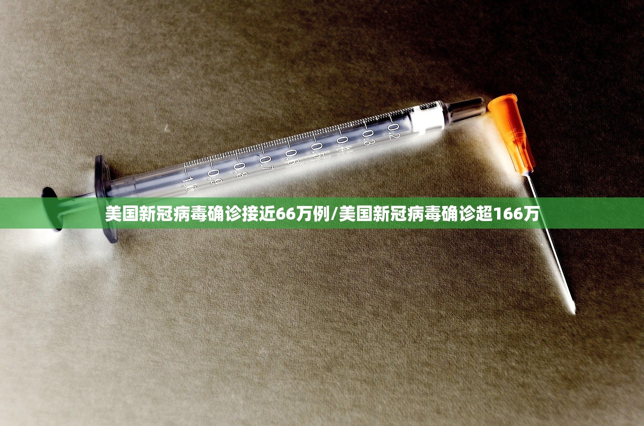 美国新冠病毒确诊接近66万例/美国新冠病毒确诊超166万